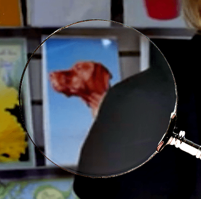 Vizsla Greeting Card