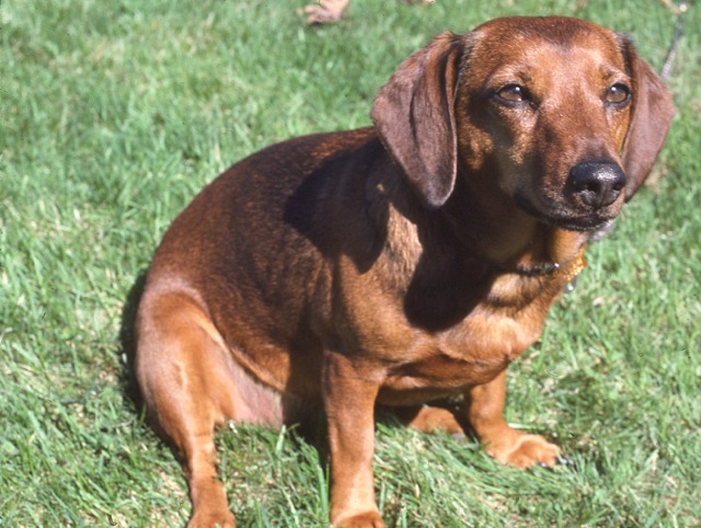 1957230_201602038218