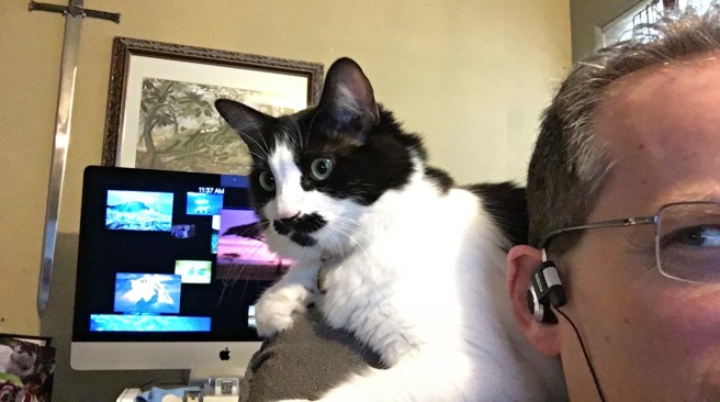 IMG_5366_20180907113755_20180917201811_1920